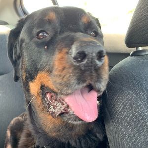 Meet your Posher, Diane